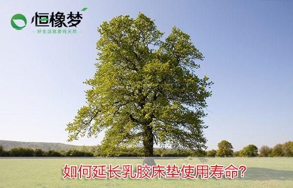 乳胶床垫保养